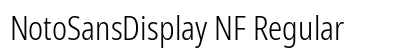 NotoSansDisplay NF Regular Preview