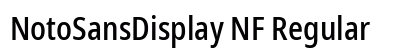 NotoSansDisplay NF Regular preview