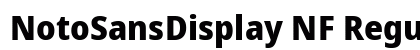 NotoSansDisplay NF Regular preview