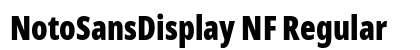 NotoSansDisplay NF Regular preview