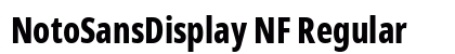 NotoSansDisplay NF Regular Preview