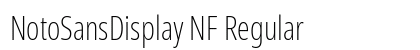 NotoSansDisplay NF Regular Preview