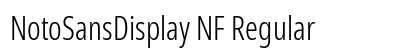 NotoSansDisplay NF Regular Preview