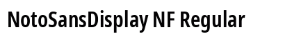 NotoSansDisplay NF Regular preview