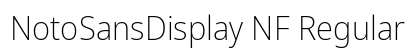 NotoSansDisplay NF Regular preview