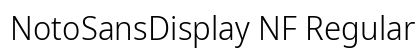NotoSansDisplay NF Regular preview