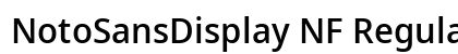 NotoSansDisplay NF Regular preview