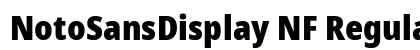 NotoSansDisplay NF Regular preview