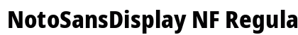 NotoSansDisplay NF Regular preview