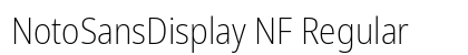 NotoSansDisplay NF Regular preview