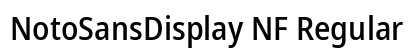 NotoSansDisplay NF Regular preview
