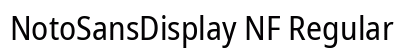 NotoSansDisplay NF Regular preview