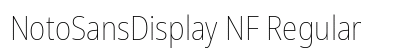 NotoSansDisplay NF Regular Preview