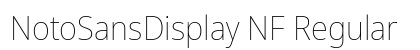 NotoSansDisplay NF Regular Preview