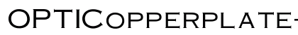OPTICopperplate-Light Regular preview