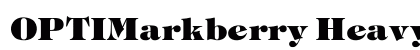 OPTIMarkberry Heavy preview