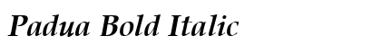 Padua Bold Italic preview