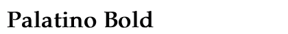 Palatino Bold Preview