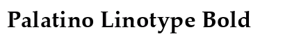 Palatino Linotype Bold Preview
