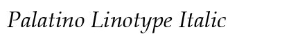 Palatino Linotype Italic Preview