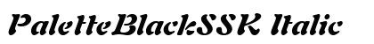 PaletteBlackSSK Italic Preview