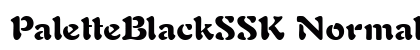 PaletteBlackSSK Normal preview