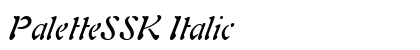 PaletteSSK Italic Preview