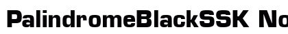 PalindromeBlackSSK Normal preview