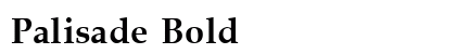 Palisade Bold Preview