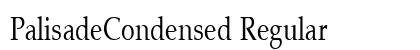 PalisadeCondensed Regular Preview