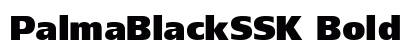 PalmaBlackSSK Bold Preview