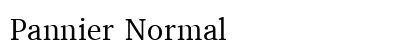 Pannier Normal preview