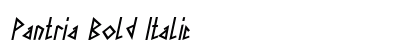Pantria Bold Italic preview