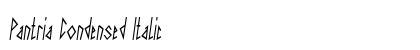 Pantria Condensed Italic Preview