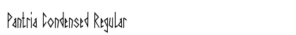 Pantria Condensed Regular Preview