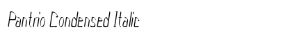 Pantrio Condensed Italic Preview