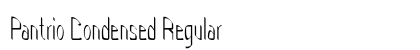 Pantrio Condensed Regular Preview