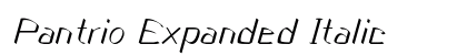 Pantrio Expanded Italic Preview