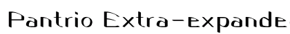 Pantrio Extra-expanded Bold Preview