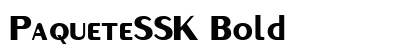 PaqueteSSK Bold preview
