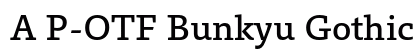 A P-OTF Bunkyu Gothic Pr6N DB preview