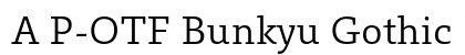 A P-OTF Bunkyu Gothic Pr6 R preview