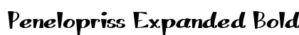 Penelopriss Expanded Bold preview