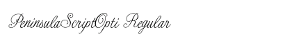 PeninsulaScriptOpti Regular preview