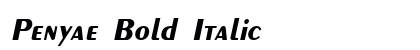 Penyae Bold Italic preview