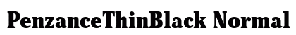 PenzanceThinBlack Normal preview