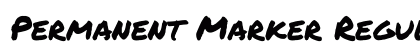 Permanent Marker Regular preview