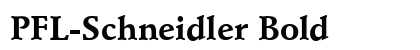 PFL-Schneidler Bold preview