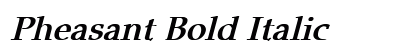 Pheasant Bold Italic Preview