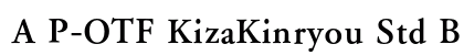 A P-OTF KizaKinryou Std B preview